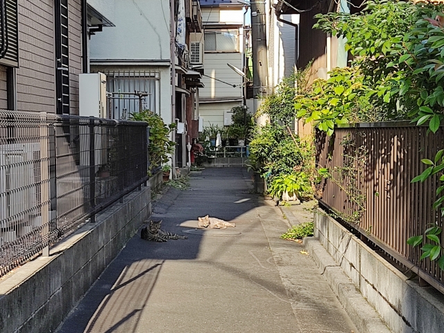 再建築不可物件でお困りの方へ